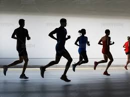 斯基拉：比萨想租借国米的卡尔博尼和罗马的皮西利