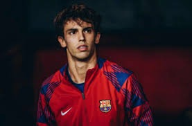 布克17+8萨尔19+15 太阳击败奇才3连胜